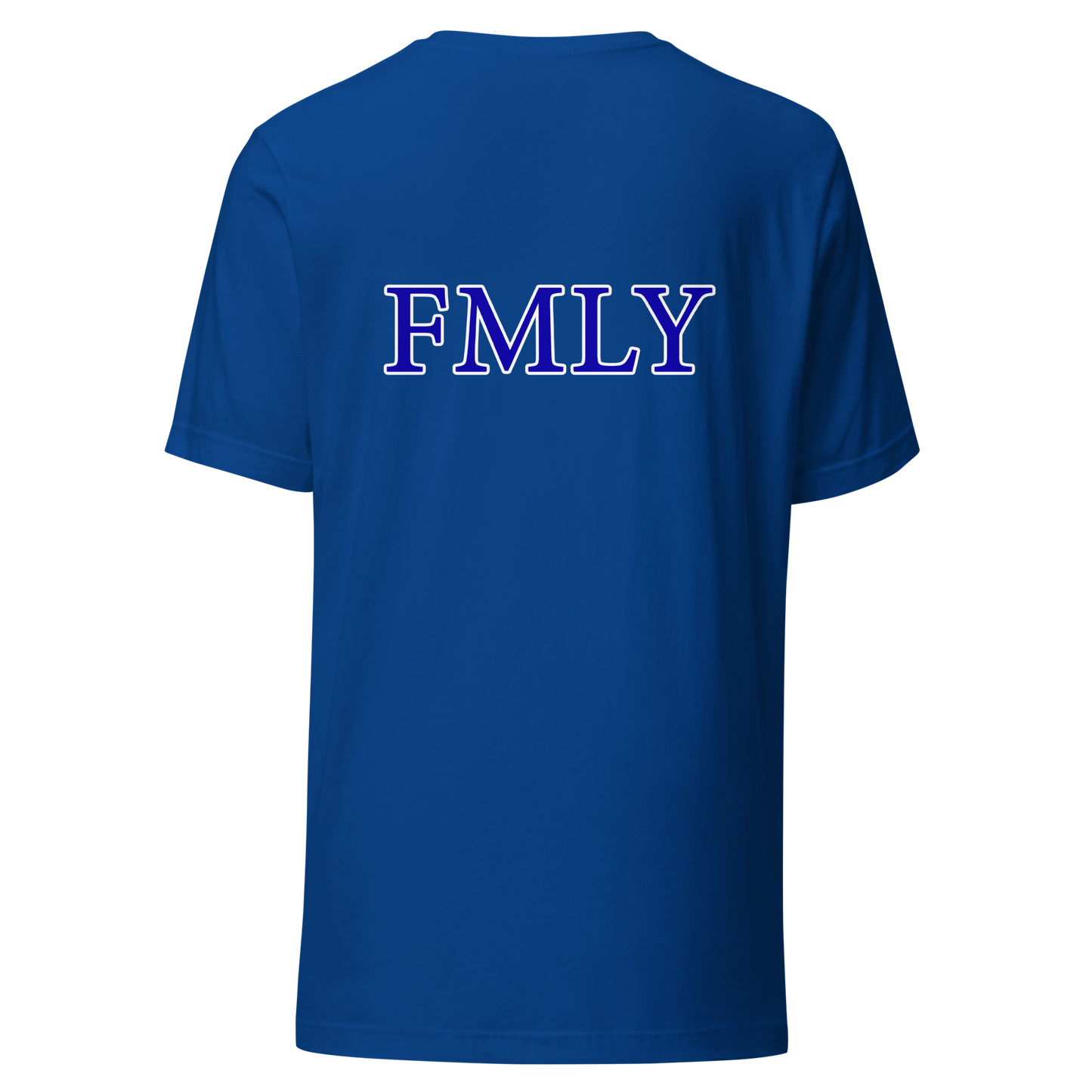 Seawall Blue Islandary FMLY Unisex t-shirt