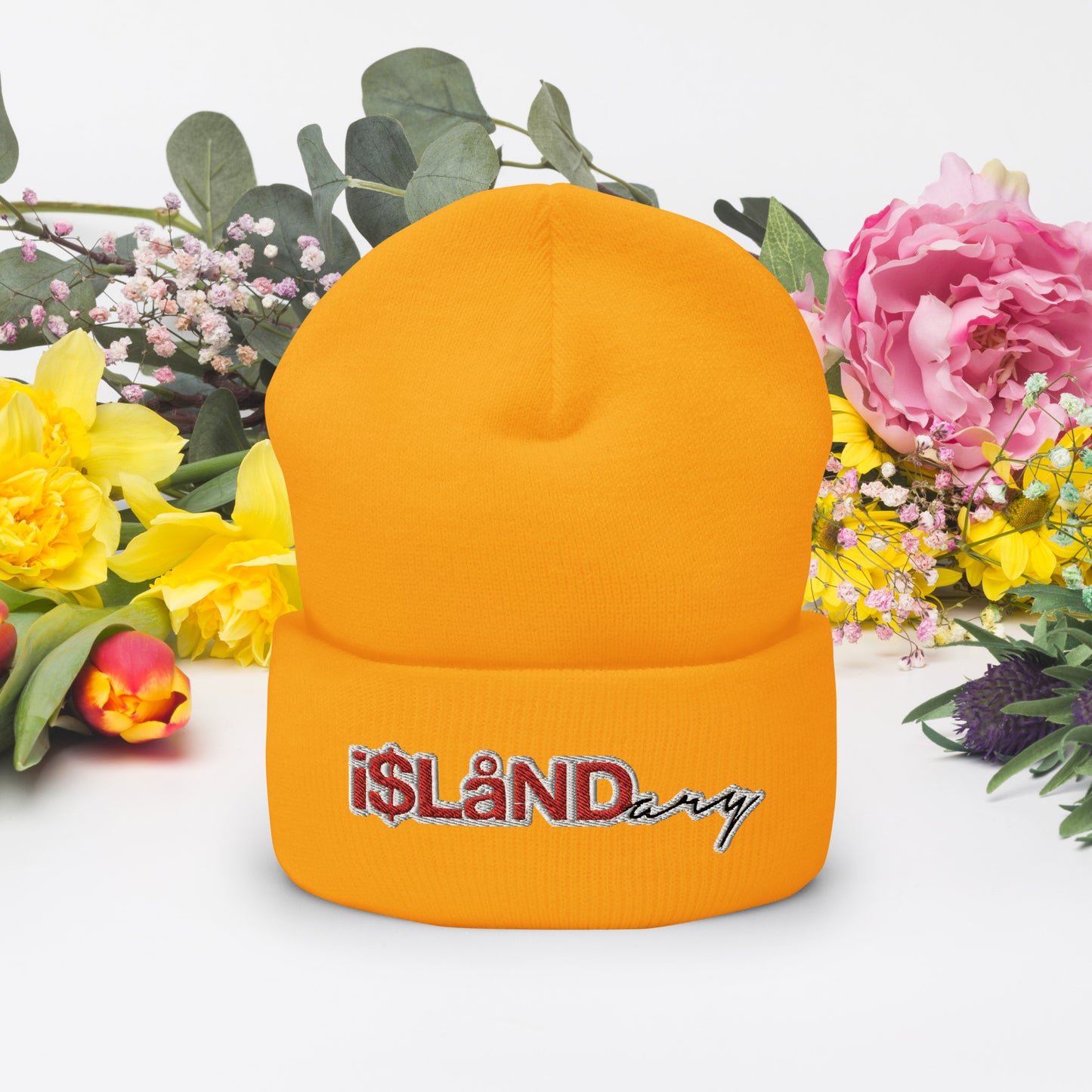 Red Islandary Cuffed Beanie