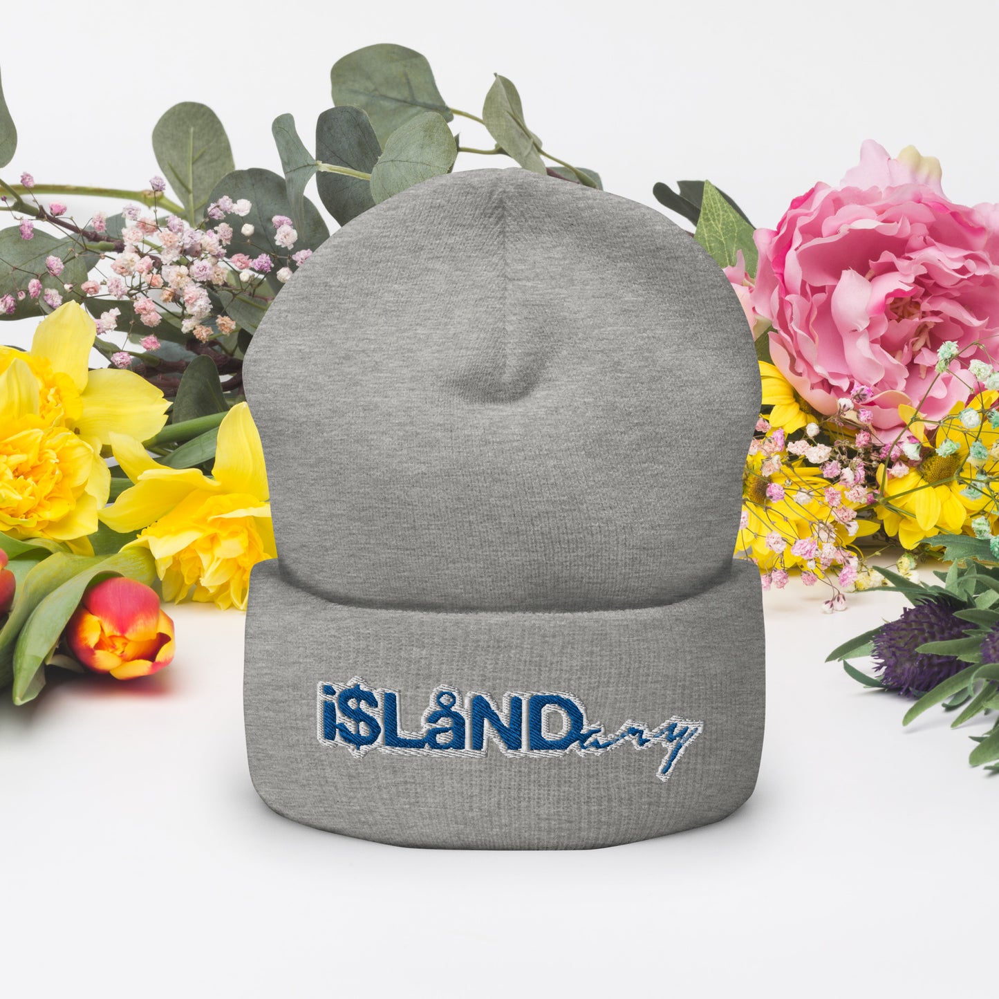 Blue Islandary Cuffed Beanie