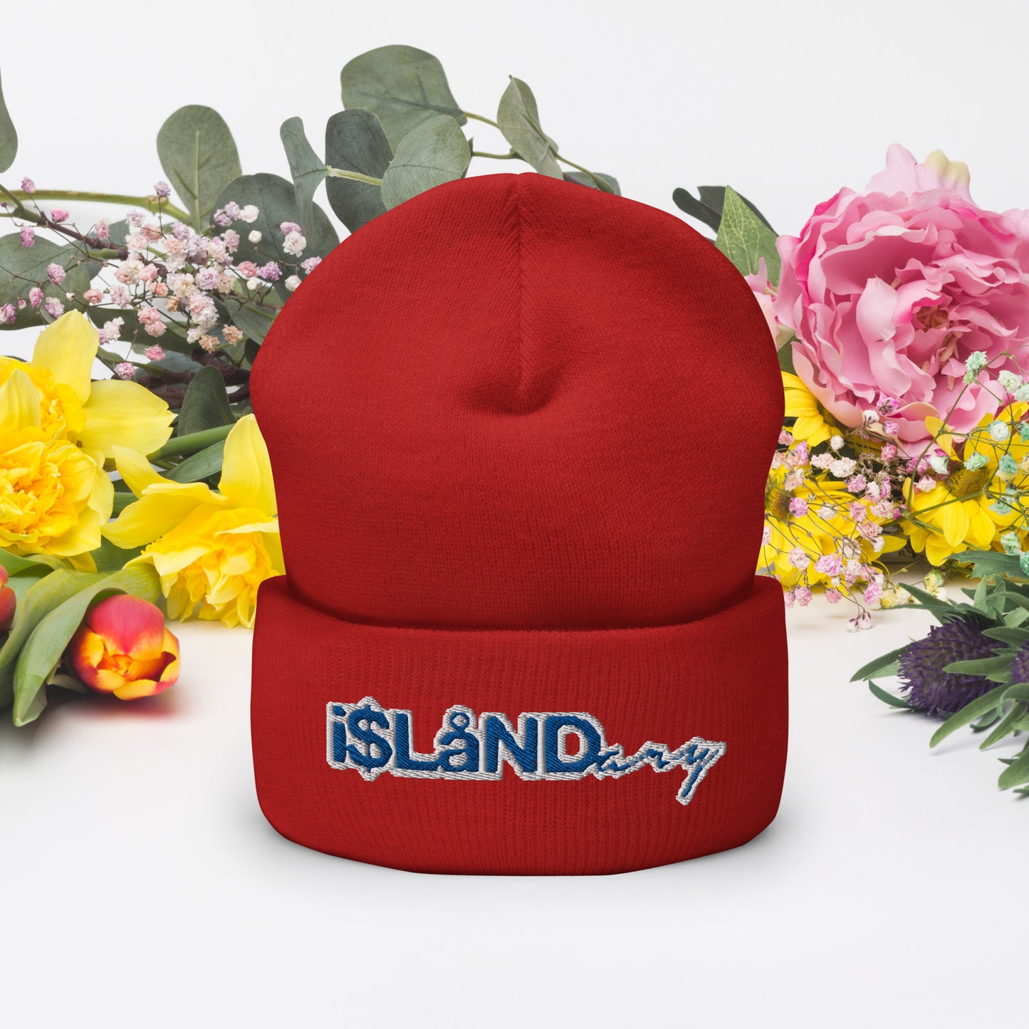 Blue Islandary Cuffed Beanie